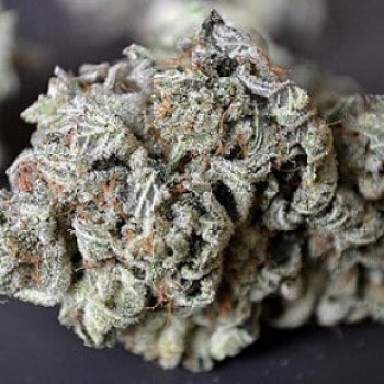 Purple Punch